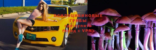 прущая мука Приозерск