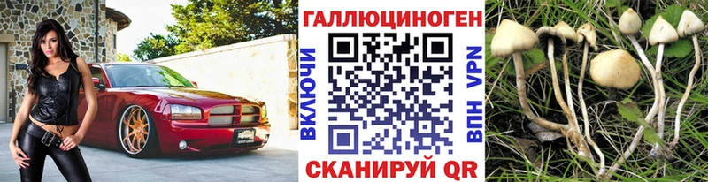 blacksprut ссылка  Озёры  Псилоцибиновые грибы Magic Shrooms 